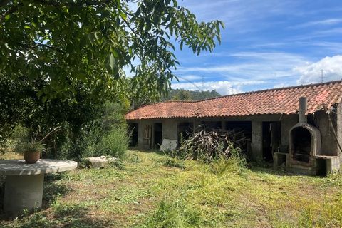 Villa i Ponte de Lima, Viana do Castelo, Ponte de Lima - € 310.000 | Ref: A442023 - foto 17