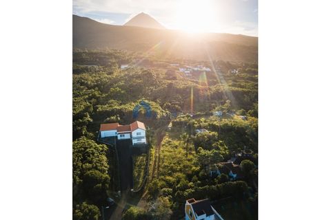 Helårsgrund i Sao Roque do Pico, Pico, Sao Roque do Pico - € 55.000 | Ref: AZO1-0154 - foto 8