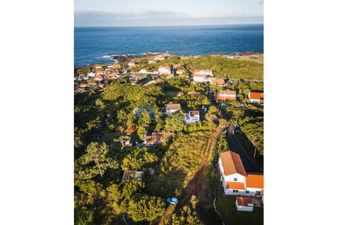 Helårsgrund i Sao Roque do Pico, Pico, Sao Roque do Pico - € 55.000 | Ref: AZO1-0154 - foto 9