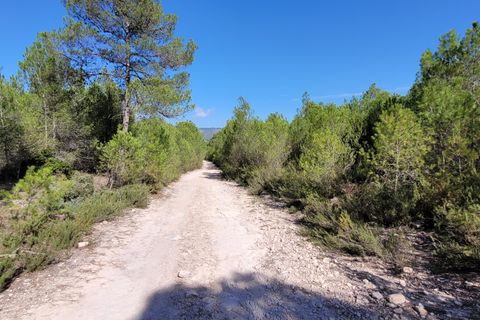 Helårsgrund i Ontinyent, Valencia, Ontinyent - € 35.000 | Ref: LOSDH3422 - foto 6