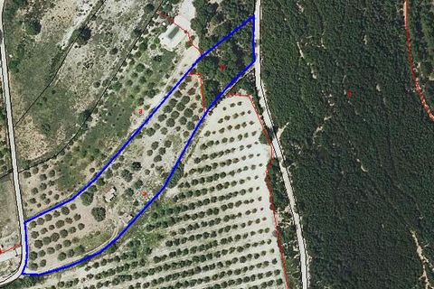 Helårsgrund i Ontinyent, Valencia, Ontinyent - € 35.000 | Ref: LOSDH3422 - foto 20