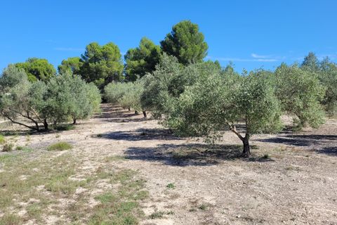 Helårsgrund i Ontinyent, Valencia, Ontinyent - € 35.000 | Ref: LOSDH3422 - foto 17