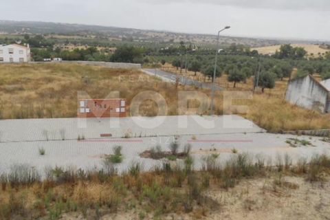 Terra a Alvito, Beja, Alvito - € 19.000 | Ref: 03185/T001 - foto 2