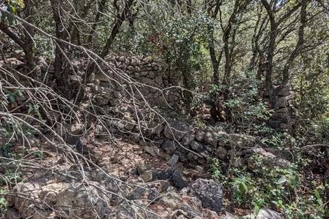 Terra a Carcès, Var, Carcès - € 35.400 | Ref: 34443281 - foto 9