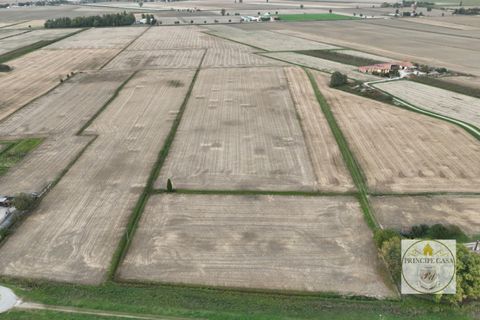 Terra a Barbona, Padua, Barbona - € 350.000 | Ref: T210 - foto 8
