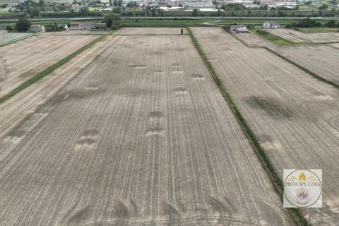 Terra a Barbona, Padua, Barbona - € 350.000 | Ref: T210 - foto 9