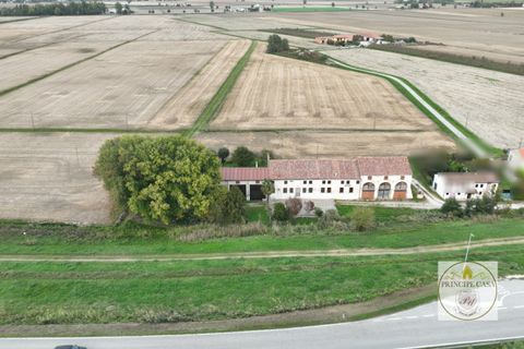 Terra a Barbona, Padua, Barbona - € 350.000 | Ref: T210 - foto 10