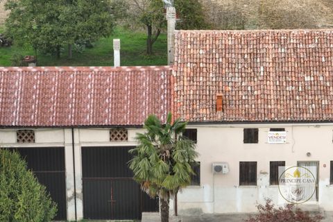 Terra a Barbona, Padua, Barbona - € 350.000 | Ref: T210 - foto 11