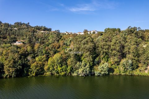 Farm hus i Melres e Medas, Porto, Melres e Medas - € 1.950.000 | Ref: TAPT01-533_CU - foto 8