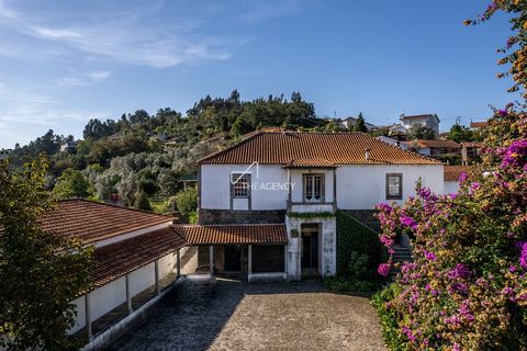 Farm hus i Melres e Medas, Porto, Melres e Medas - € 1.950.000 | Ref: TAPT01-533_CU - foto 11