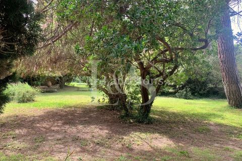 Villa a Orange, Vaucluse, Orange - € 895.000 | Ref: 2485 - foto 10