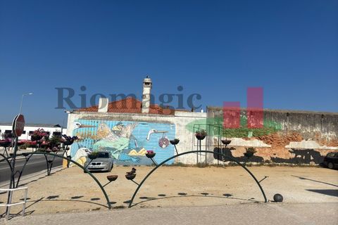 Helårsgrund i Alpiarca, Santarem, Alpiarca - € 100.000 | Ref: 714.23 - foto 3