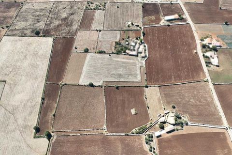 Landejendom i Rosolini, Siracusa, Rosolini - € 330.000 | Ref: L 1764 - foto 6