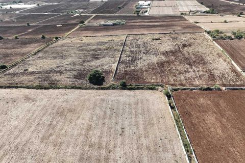 Landejendom i Rosolini, Siracusa, Rosolini - € 330.000 | Ref: L 1764 - foto 9