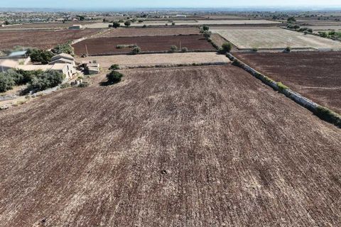 Landejendom i Rosolini, Siracusa, Rosolini - € 330.000 | Ref: L 1764 - foto 10