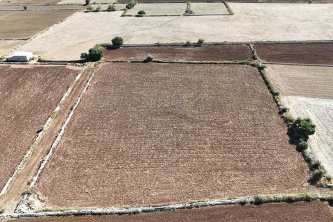 Landejendom i Rosolini, Siracusa, Rosolini - € 330.000 | Ref: L 1764 - foto 12