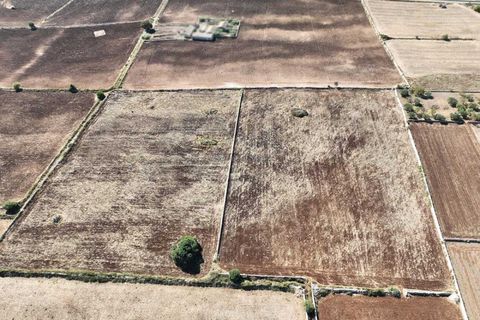 Landejendom i Rosolini, Siracusa, Rosolini - € 330.000 | Ref: L 1764 - foto 13