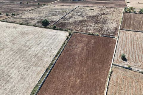 Landejendom i Rosolini, Siracusa, Rosolini - € 330.000 | Ref: L 1764 - foto 14