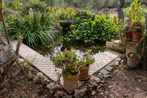 Byhus i Muro, Mallorca, Muro - € 1.500.000 | Ref: 77882 - foto 8