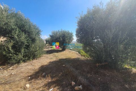Byhus i Oria, Almeria, Oria - € 69.000 | Ref: 2471 - foto 22