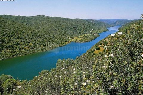 Helårsgrund i Rosmaninhal, Castelo Branco, Rosmaninhal - € 167.000 | Ref: TER_1833 - foto 3