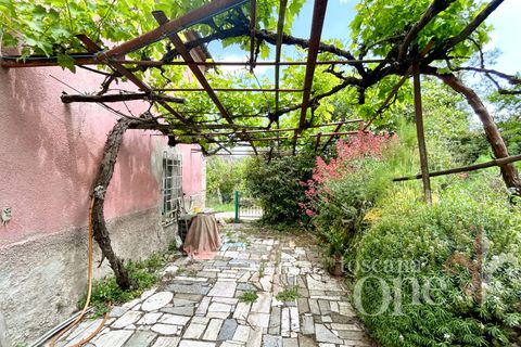 Villa i Pomarance, Pisa, Pomarance - € 370.000 | Ref: 18123 - foto 7