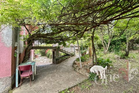 Villa i Pomarance, Pisa, Pomarance - € 370.000 | Ref: 18123 - foto 29
