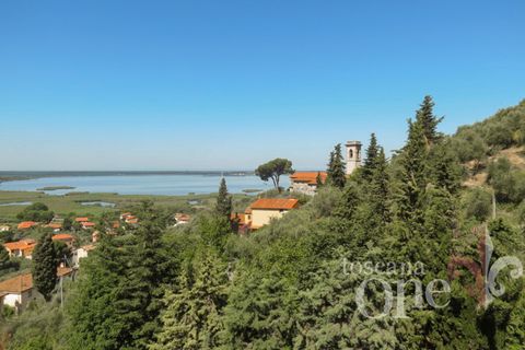 Villa i Massarosa, Lucca, Massarosa - € 1.250.000 | Ref: 18175 - foto 4