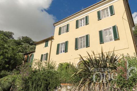 Villa i Massarosa, Lucca, Massarosa - € 1.250.000 | Ref: 18175 - foto 45