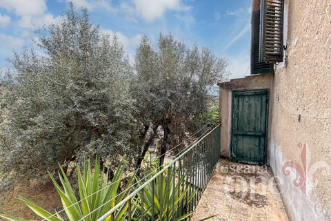 Villa a Cinigiano, Grosseto, Cinigiano - € 158.000 | Ref: 18256 - foto 5