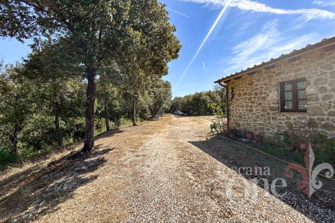 Villa a Volterra, Pisa, Volterra - € 430.000 | Ref: 18263 - foto 7