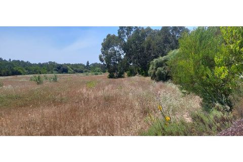 Helårsgrund i Rogil, Faro, Rogil - € 80.000 | Ref: W6221 - foto 2