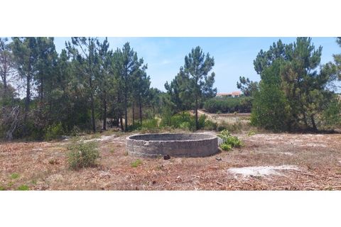 Helårsgrund i Rogil, Faro, Rogil - € 80.000 | Ref: W6221 - foto 4