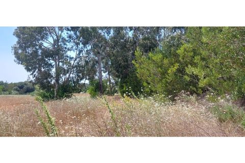 Helårsgrund i Rogil, Faro, Rogil - € 80.000 | Ref: W6221 - foto 5