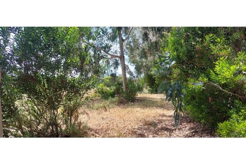 Helårsgrund i Rogil, Faro, Rogil - € 80.000 | Ref: W6221 - foto 6