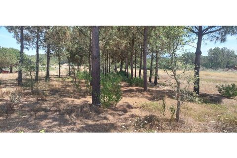 Helårsgrund i Rogil, Faro, Rogil - € 80.000 | Ref: W6221 - foto 7
