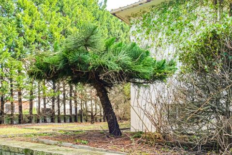 Farm i Arcozelo, Porto, Arcozelo - € 1.750.000 | Ref: MAS_312 - foto 6
