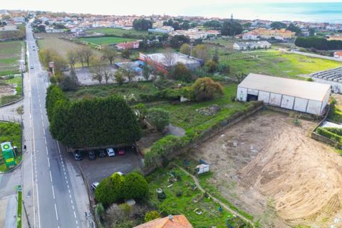 Farm i Arcozelo, Porto, Arcozelo - € 1.750.000 | Ref: MAS_312 - foto 4