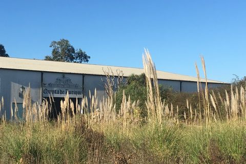 Farm i Arcozelo, Porto, Arcozelo - € 1.750.000 | Ref: MAS_312 - foto 19