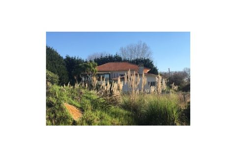 Farm i Arcozelo, Porto, Arcozelo - € 1.750.000 | Ref: MAS_312 - foto 20