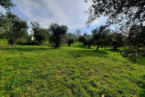 Erhvervsejendom i Casperia, Rieti, Casperia - € 49.000 | Ref: DAD-633 - foto 6