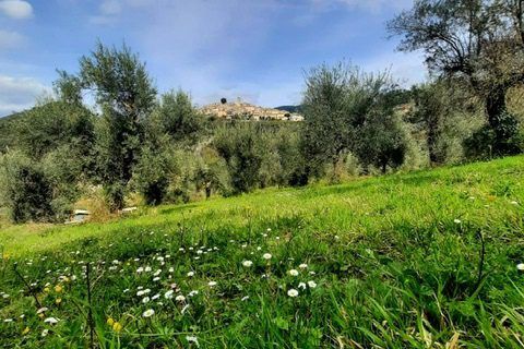 Erhvervsejendom i Casperia, Rieti, Casperia - € 49.000 | Ref: DAD-633 - foto 7