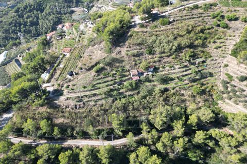 Villa a Soldano, Imperia, Soldano - € 120.000 | Ref: 22507 - foto 2