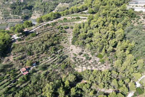 Villa a Soldano, Imperia, Soldano - € 120.000 | Ref: 22507 - foto 3