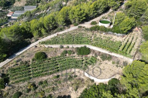 Villa a Soldano, Imperia, Soldano - € 120.000 | Ref: 22507 - foto 4