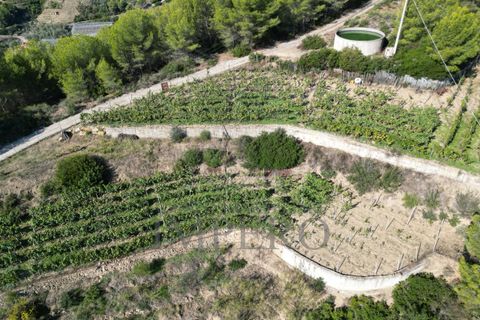 Villa a Soldano, Imperia, Soldano - € 120.000 | Ref: 22507 - foto 5