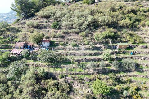 Villa a Soldano, Imperia, Soldano - € 120.000 | Ref: 22507 - foto 7