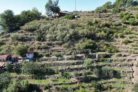 Villa a Soldano, Imperia, Soldano - € 120.000 | Ref: 22507 - foto 8