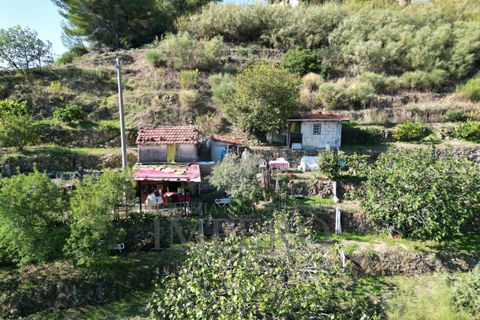 Villa a Soldano, Imperia, Soldano - € 120.000 | Ref: 22507 - foto 12
