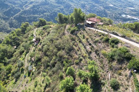 Villa a Soldano, Imperia, Soldano - € 120.000 | Ref: 22507 - foto 13